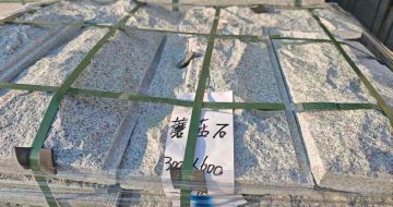 嘉兴芝麻白蘑菇石，自然面